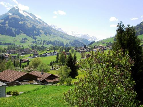 Cottage, Frutigen (photo 10)