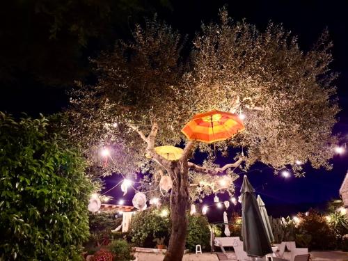 Mirella Charming – Monopoli, LA