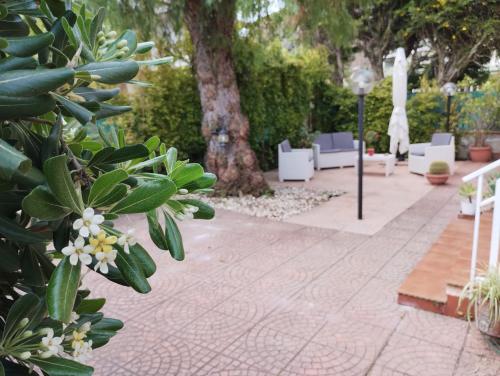 Casa Berta, Mondello (Foto 7)