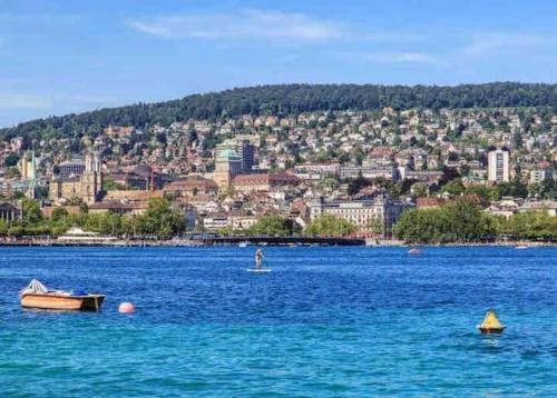 Renovated Apartment Near Zurich Lake Sees - Self Checkin, Curych (fotografie 7)