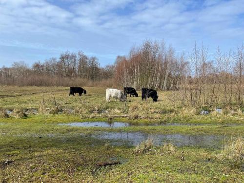 Einrichtungen, Charming Home In Marielyst - Bøtø in Vaeggerlose