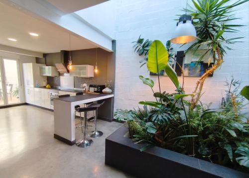 花園, loft CARRASKETA in 阿爾法法拉