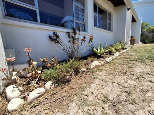 Alibi at the Sea, Bettyʼs Bay (foto 10)
