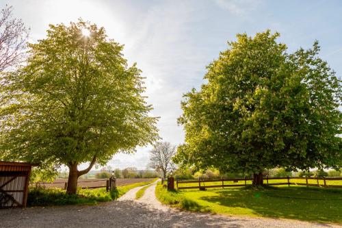Apkārtne, Hof Fetthörn, Ferienzimmer Muschel (Hof Fetthorn, Ferienzimmer Muschel) in Švartbuka