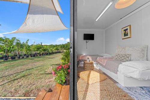 Eco-Friendly Glamping with Private Pool in La Parguera