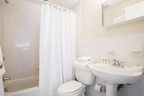Pet Friendly - Elevator - Laundry in Bldg - FIDI
