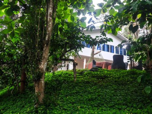 Fogland Villa in Vaduvanchal