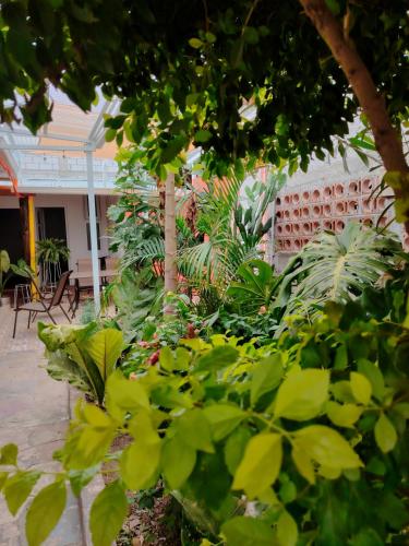 El Chirris B&B in San Juan La Laguna