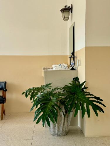 Hotel JADE in Cerocahui (Chihuahua)