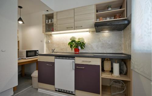 廚房, Cozy Home In Breznicki Hum in 哈爾斯新納