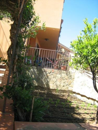 Terrazza Mimosa - image 9