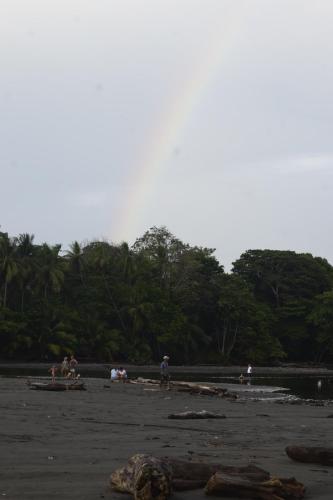 Coconut Lodge #2 - image 2
