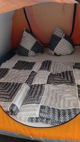 Zelten im vorhandenen Zelt im Loftcamp in Neusalza-Spremberg