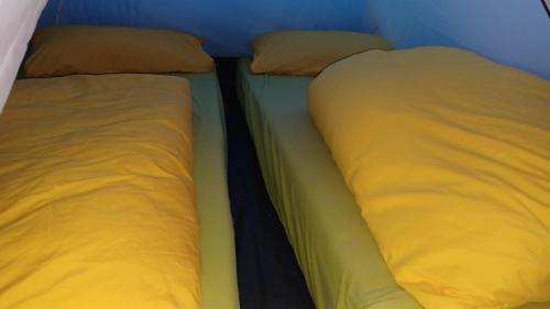 Zelten im vorhandenen Zelt im Loftcamp in Neusalza-Spremberg