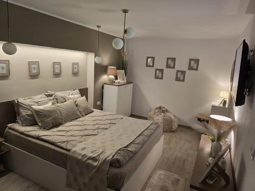 Cochet Studio 2 in ฟอชซานี