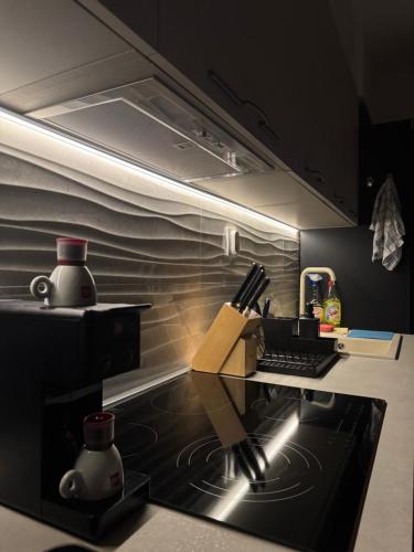 Cozy apartment-center of Skopje, Skopje (fotografie 8)
