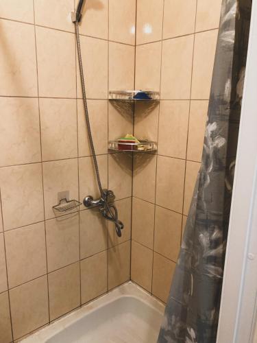 Liene's Guest House `Free Parking` `Self check-in`, Ryga (zdjęcie 5)