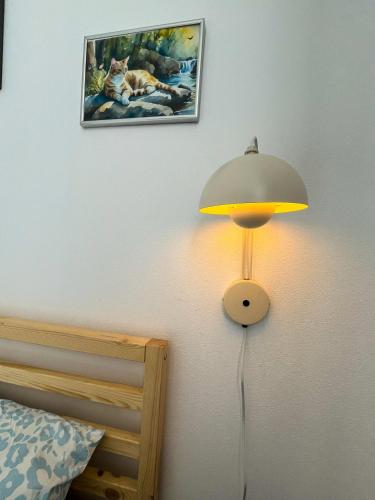 Liene's Guest House `Free Parking` `Self check-in`, Ryga (zdjęcie 8)