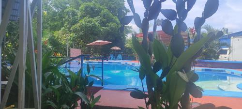 Hotel Maguey - 수영장