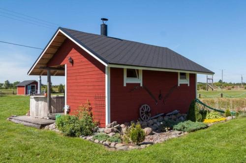 Viesnīcas āriene, Ratturi talu in Kivi