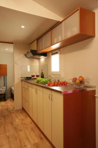 Kitchen, Mobile Homes Adria Ankaran in Ankaran