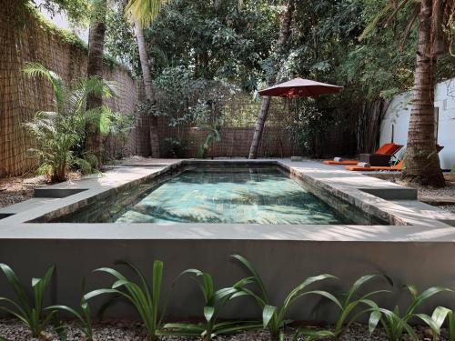 Suite with Private Pool image 10