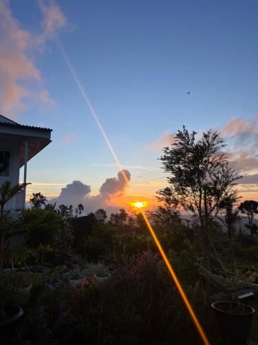 Garden, Querencia Farm & Cabin in Bedugul