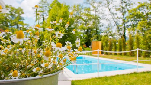 Aristotelia Gi Ikies - Olympiada Poolside Retreats