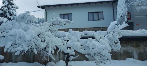 Panoramic House, Borsa (Foto 5)