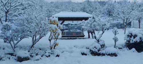 Panoramic House, Borsa (Foto 4)