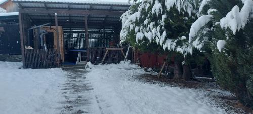 Panoramic House, Borsa (Foto 3)