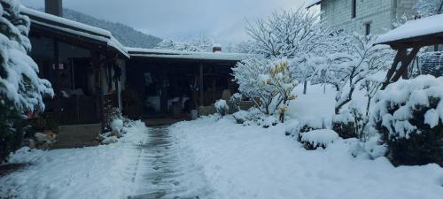 Panoramic House, Borsa (Foto 2)