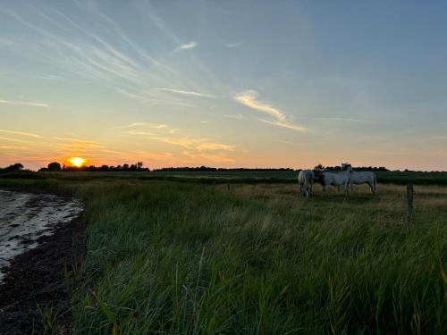 nedlagt gård i naturen med ro og fred og samtidig tæt på strand og fiskeri og indkøbsmuligheder (nedlagt gard i naturen med ro og fred og samtidig tæt pa strand og fiskeri og indkøbsmuligheder) in Nordborg