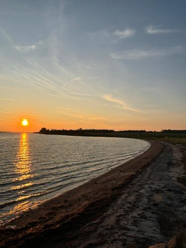 nedlagt gård i naturen med ro og fred og samtidig tæt på strand og fiskeri og indkøbsmuligheder (nedlagt gard i naturen med ro og fred og samtidig tæt pa strand og fiskeri og indkøbsmuligheder) in Nordborg