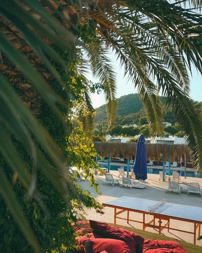 حانة/استراحة, Club Afrodit Tatil Koya in ايدريمت