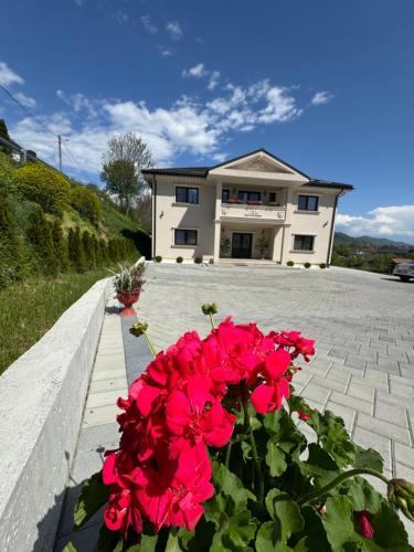 Casa Croitoru Maramureş (Casa Croitoru Maramures) in Oncesti