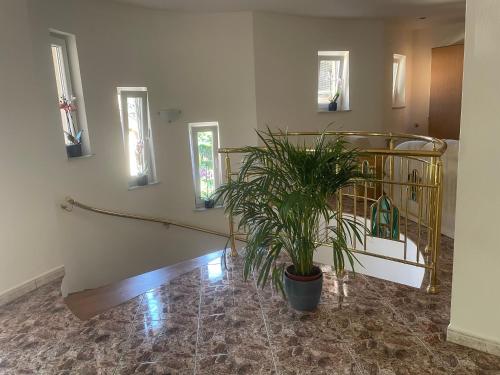 Apartment with Terrace image 10