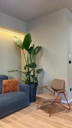 Monvi Luxury Suites near Bačvice beach and old town, Split (photo 8)