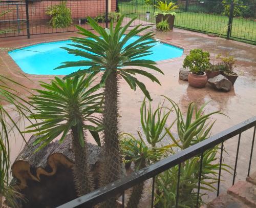 Acacia Gastehuis in คาทู