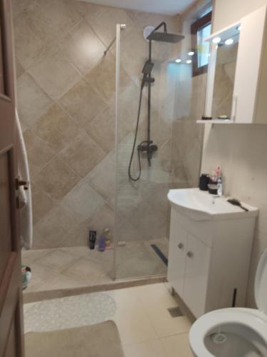 Tranquil Room for rent in Şoarş
