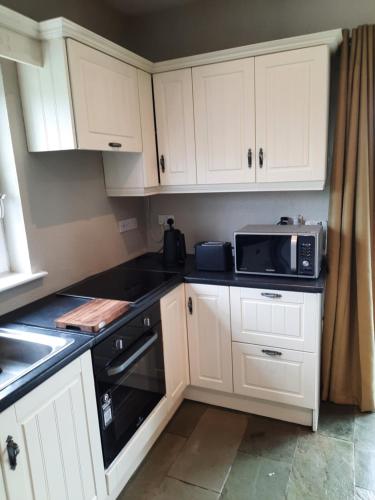 Clone manor Lodge in Dunmore