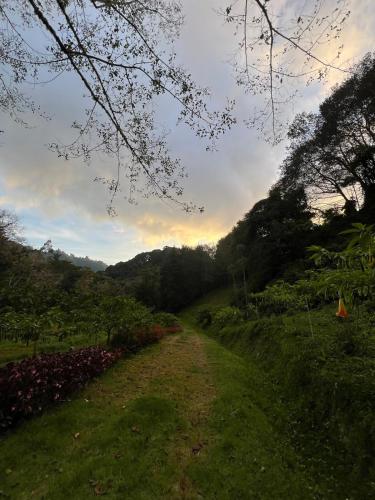 Accommodation in Cerro Punta in Cerro Punta
