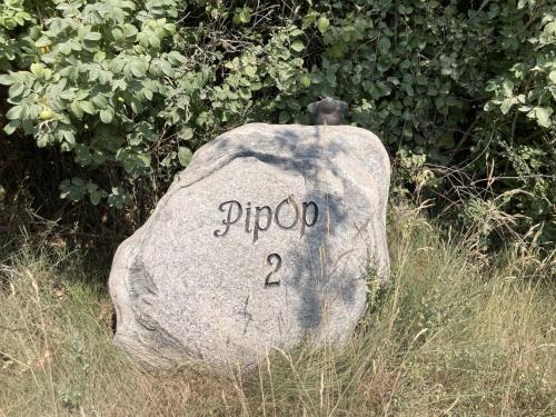 PipOp - the place where you find your soul again, Struer (Foto 5)