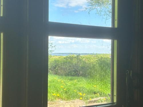 PipOp - the place where you find your soul again, Struer (Foto 6)