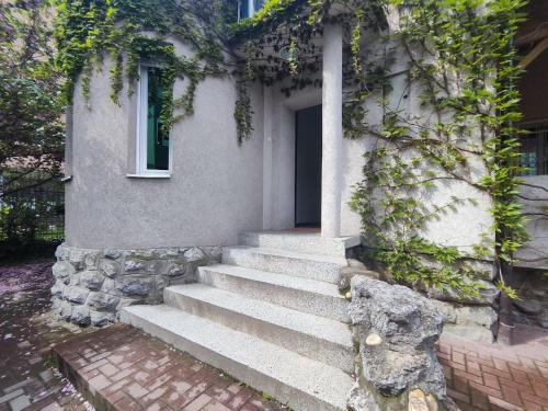 Bejárat, Brodsky's Cat Art Hostel in Újvidék