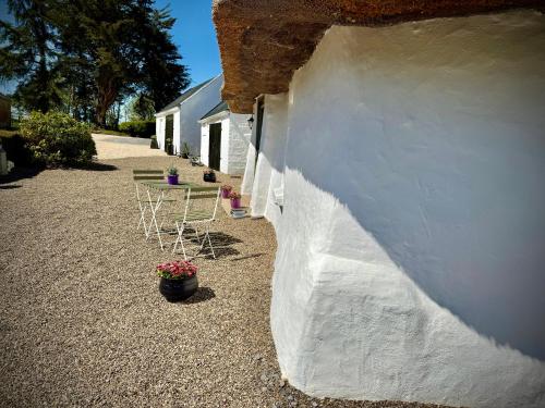 Murphys Thatched Cottage in 密契爾鎮