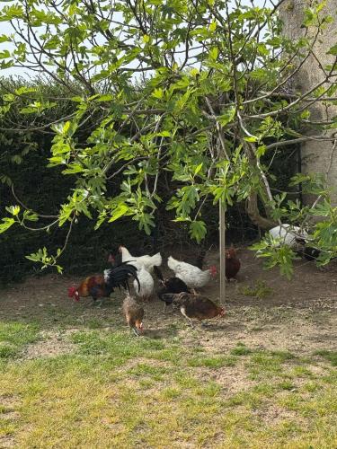 GITE A LA FERME in Le Rousset