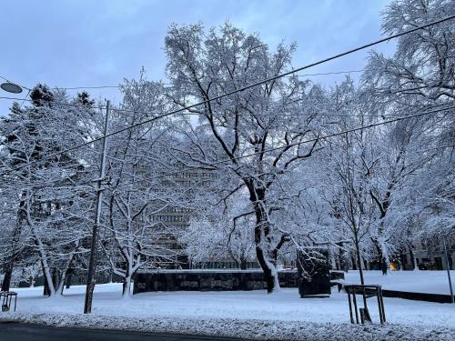 oslo, Lii (foto 4)