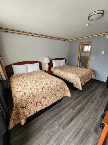 Forest Plaza Motel Room Type - Double Room with Two Double Beds - Non-Smoking