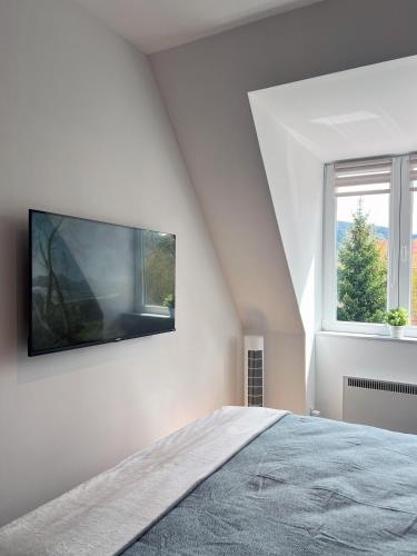 One-Bedroom Apartment image 10